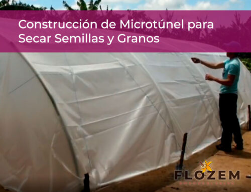 Construcción de microtúnel para secar semillas y granos