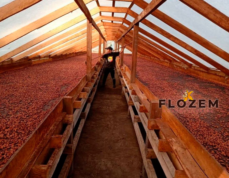 GALERÍA—FLOZEM-13