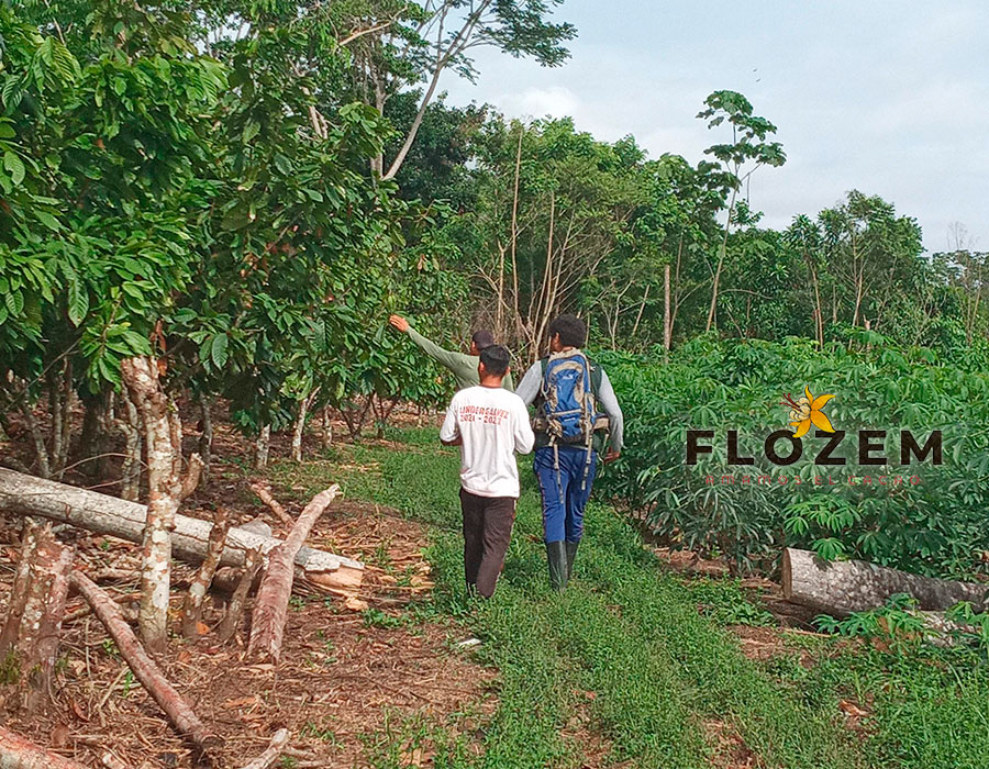 GALERÍA—FLOZEM-35