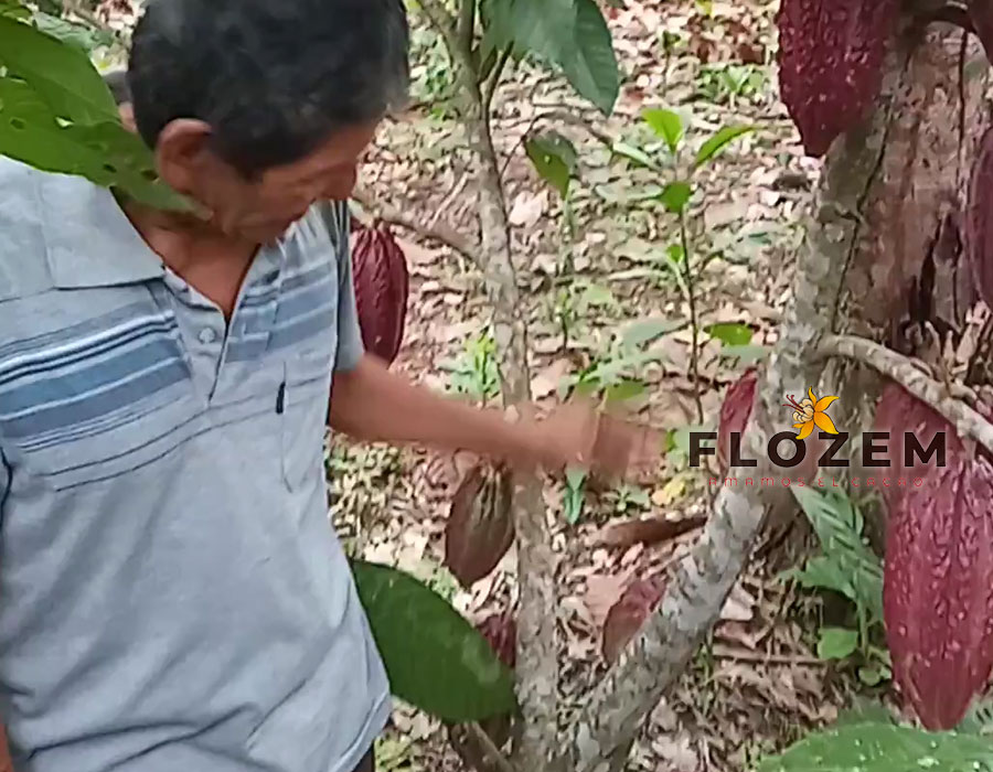 PROGRAMA-DE-CALIDAD—FLOZEM-01