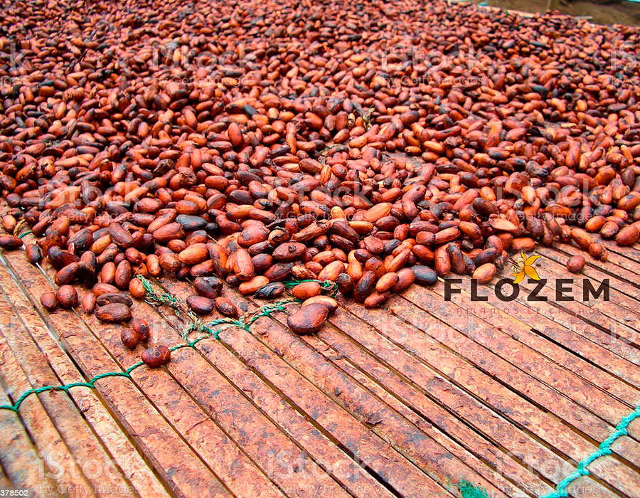 PROGRAMA-DE-CALIDAD—FLOZEM-02