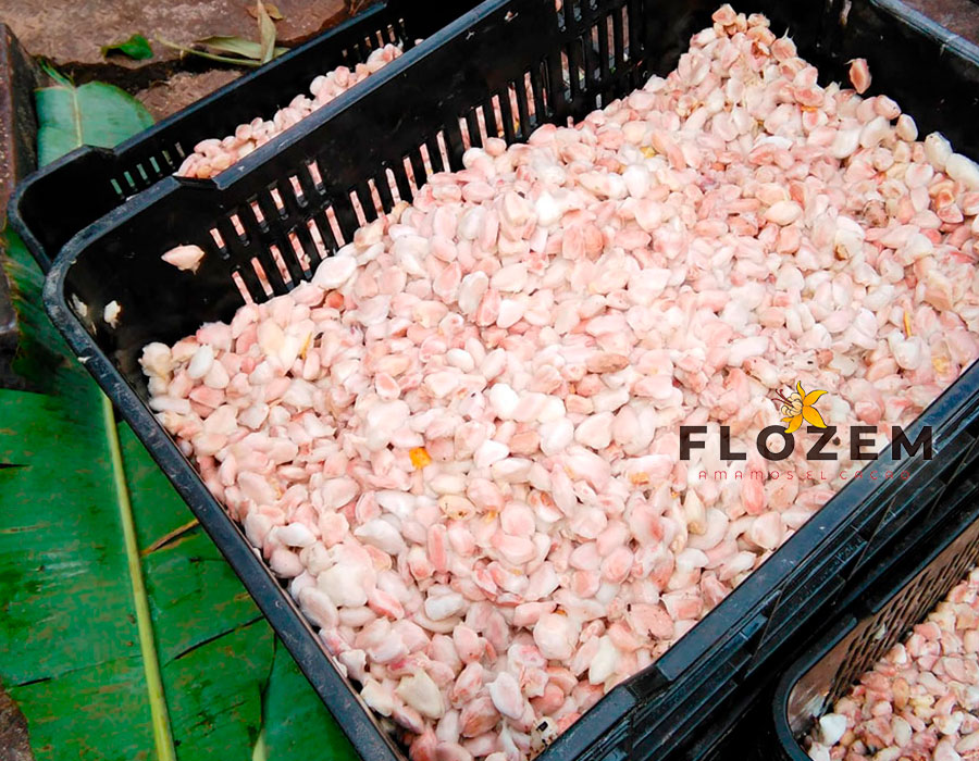 PROGRAMA-DE-CALIDAD—FLOZEM-07